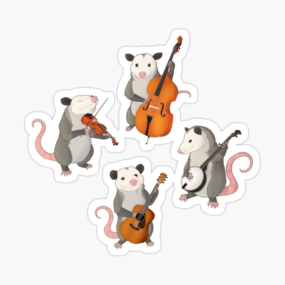 Possum band Socks