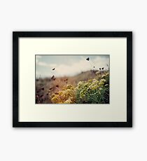 Meadow of Wildflowers Framed Print