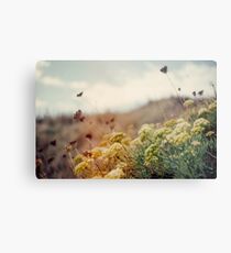 Meadow of Wildflowers Metal Print