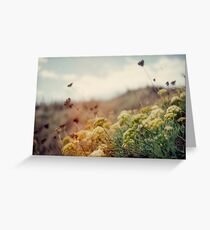 Meadow of Wildflowers Greeting Card