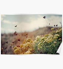 Wiese der Wildblumen Poster