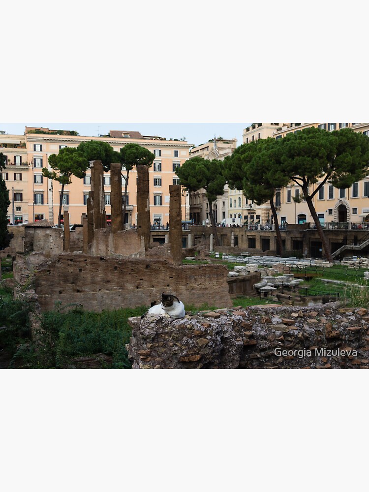 Oh So Rome Cats, Umbrella Pines and Ancient Ruins