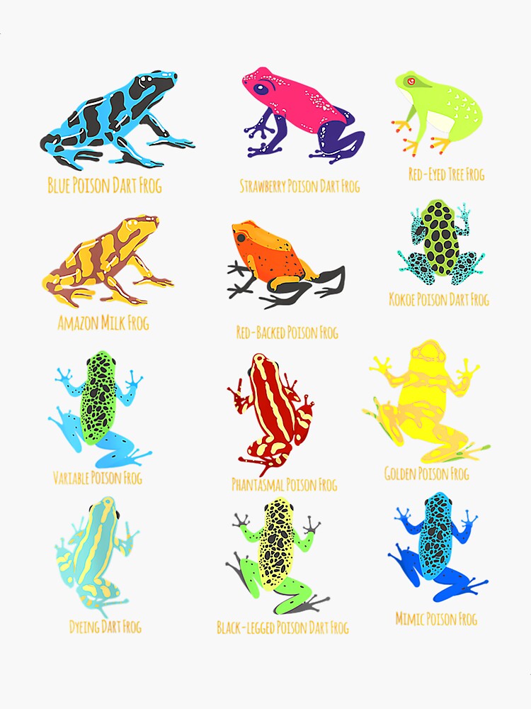 "dart Frogs identification chart for Frog Lovers Merch" Sticker for