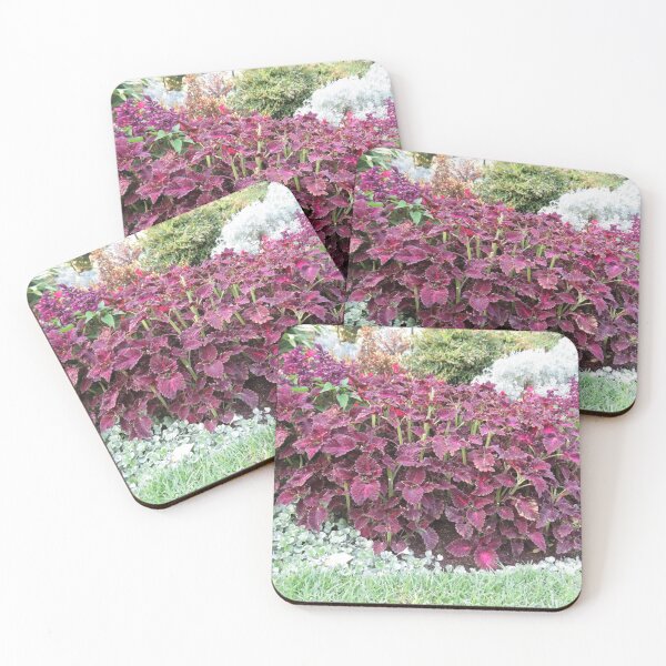 Item preview, Coleus garden designed and sold by greentiger1.