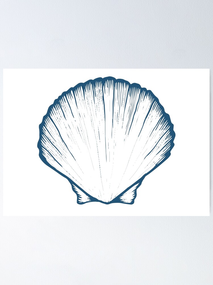 4,300+ Drawing Of A Sea Shells On Beach Stock Illustrations