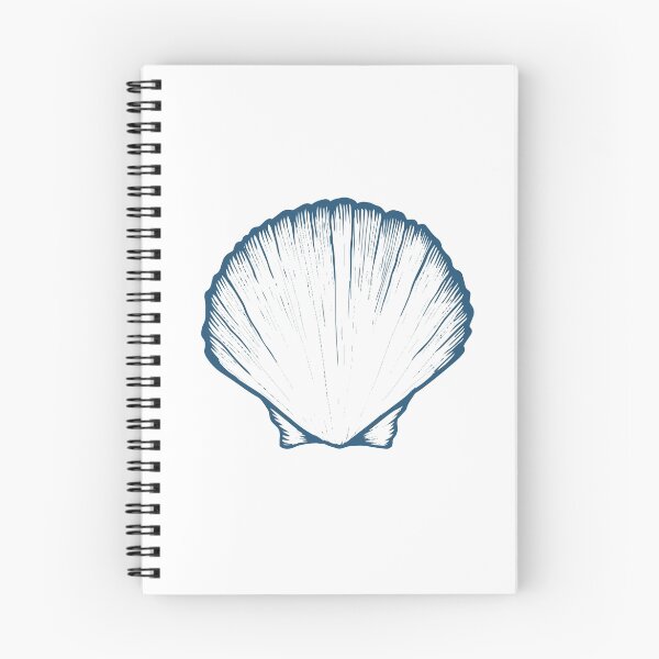 Item preview, Seashell, sea shell, nature ocean aquatic underwater vector. Hand drawn marine engraving illustration on white background designed and sold by julkapulka.
