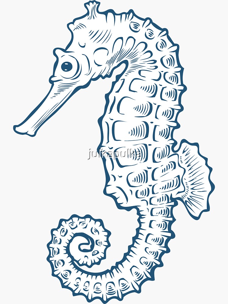 Aquatische Unterwasservektor des Seepferd Seepferdchen-Naturozeans. Hand gezeichnete Marinestichillustration auf weißem Hintergrund von julkapulka
