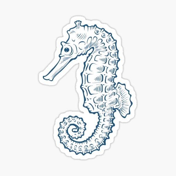 Seahorse sea horse nature ocean aquatic underwater vector. Hand drawn marine engraving illustration on white background Sticker