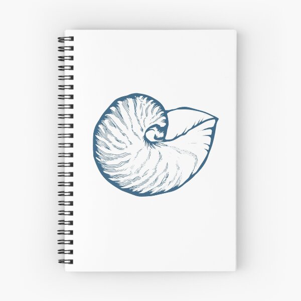 Item preview, Seashell, sea shell, nature ocean aquatic underwater vector. Hand drawn marine engraving illustration on white background designed and sold by julkapulka.