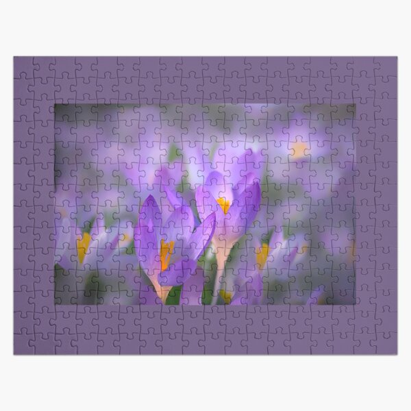 Crocus Glow Jigsaw Puzzle