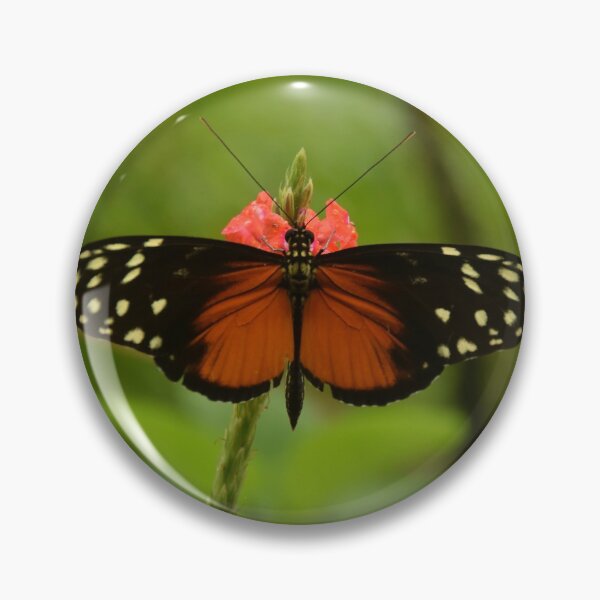 Item preview, Tiger Longwing Butterfly designed and sold by PhotoLiveArt.