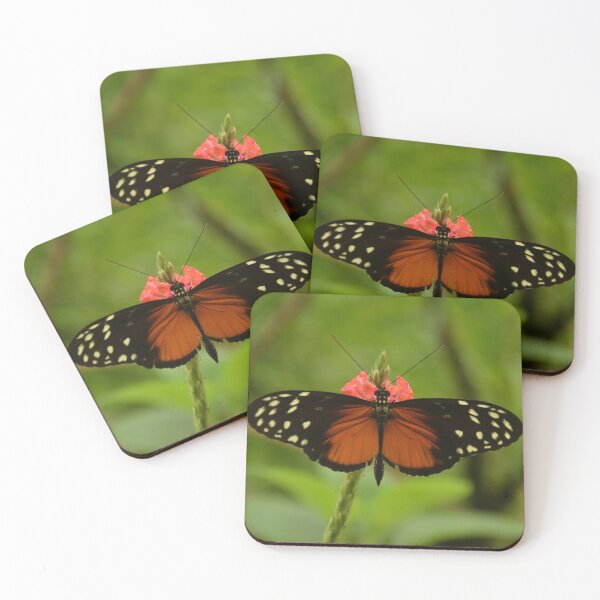 Item preview, Tiger Longwing Butterfly designed and sold by PhotoLiveArt.