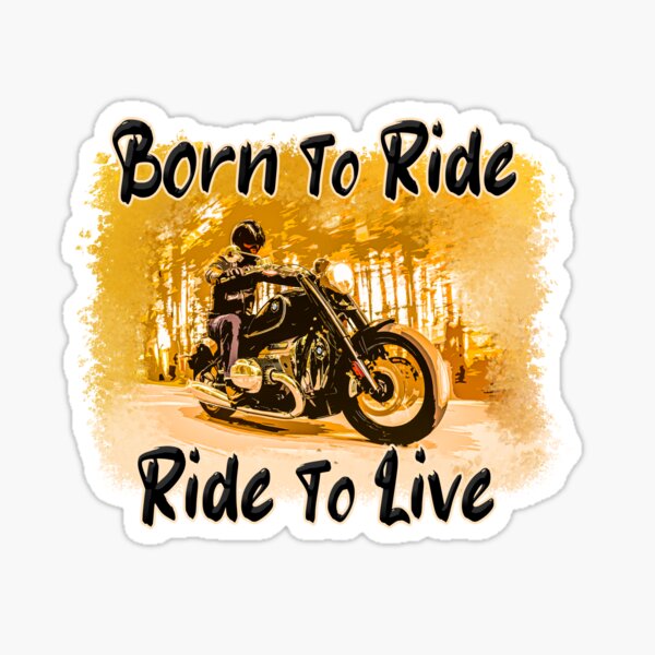 Pegatina Moto Born to Ride - Sticker Calavera Vinilo Adhesivo Casco Moto :  : Coche y moto
