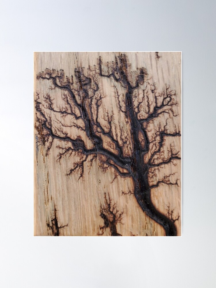 Lichtenberg Fractal Burn Tree Art On Wood Poster for Sale by