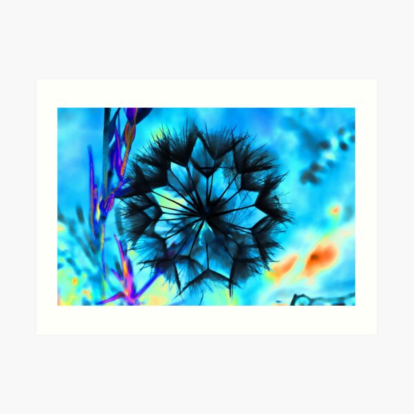 Geodesic Anemone Art Print