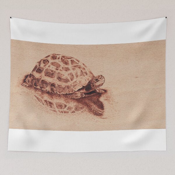 Item preview, Spider tortoise - Pyxis arachnoides - Pyrography designed and sold by Hajakely.