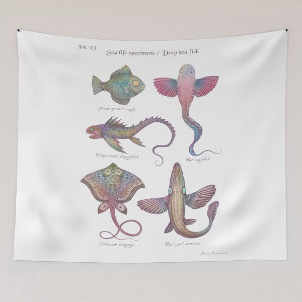 Item preview, Sea life specimens - Deep Sea Fish designed and sold by Cabinet Of Curiosities by Vlad.