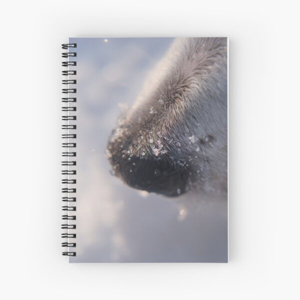 Snow crystals on curious dog nose. Spiral Notebook