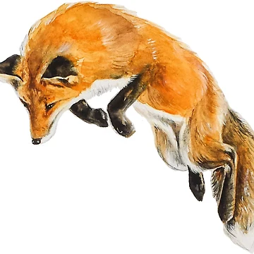 Artwork thumbnail, Fox Spring by Ang Frank