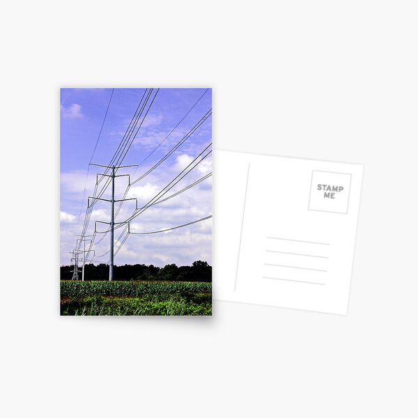 Lines Postcard