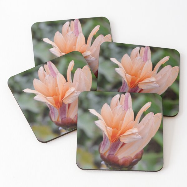 Item preview, Developing flower designed and sold by dELLaS-Ghoust.