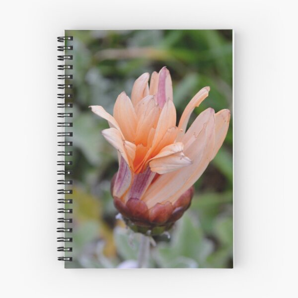 Item preview, Developing flower designed and sold by dELLaS-Ghoust.