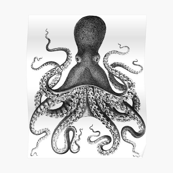 Vintage Octopus Kraken Poster