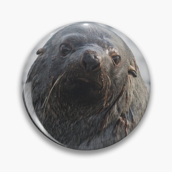 Item preview, Antarctic Fur Seal designed and sold by Mark Prior.