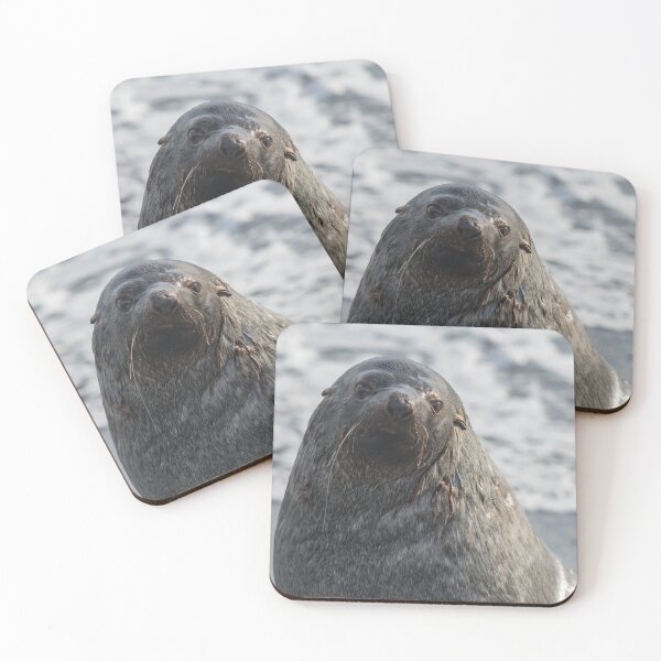 Item preview, Antarctic Fur Seal designed and sold by Mark Prior.
