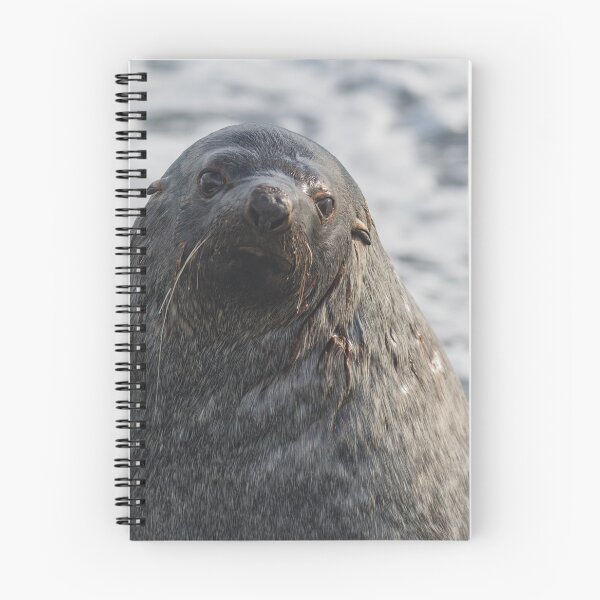Item preview, Antarctic Fur Seal designed and sold by Mark Prior.