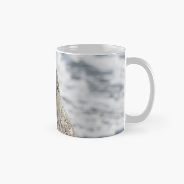 Item preview, Antarctic Fur Seal designed and sold by Mark Prior.