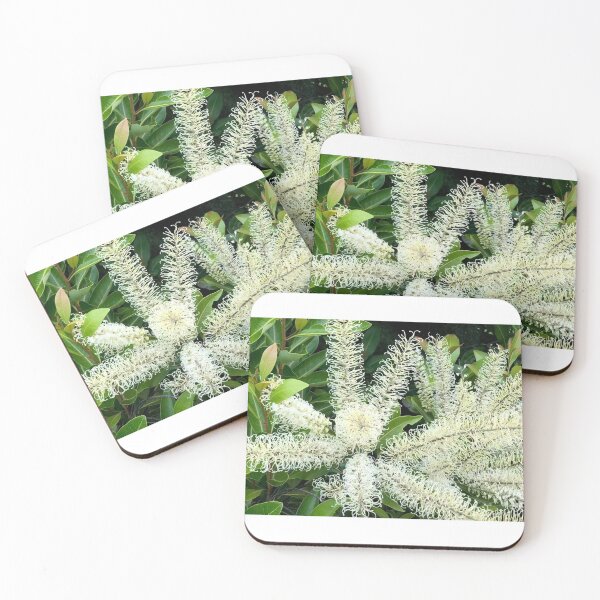 Item preview, Wonderful White Gorgeous Grevillea designed and sold by KazM.