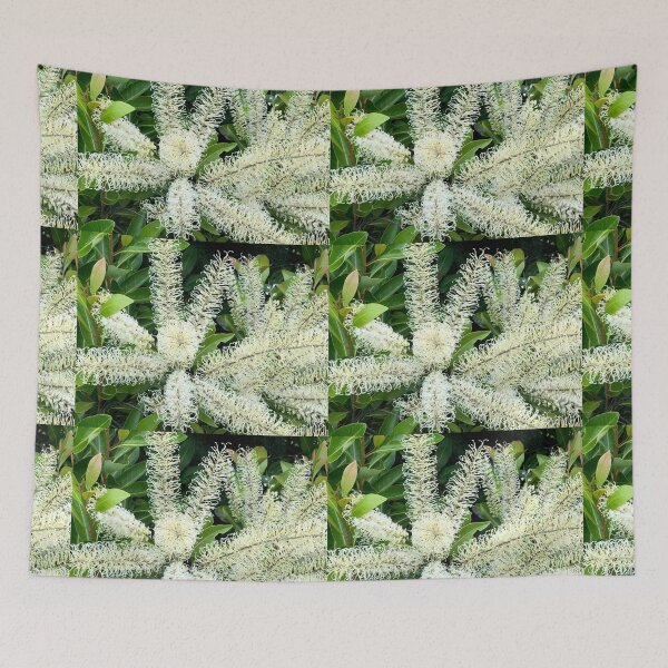 Item preview, Wonderful White Gorgeous Grevillea designed and sold by KazM.