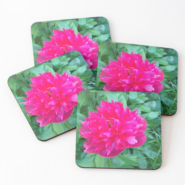 Item preview, Bright Peony My favourite flower designed and sold by AmCstudio.