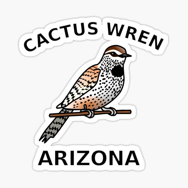 Shop  Cactus Wren Creatives