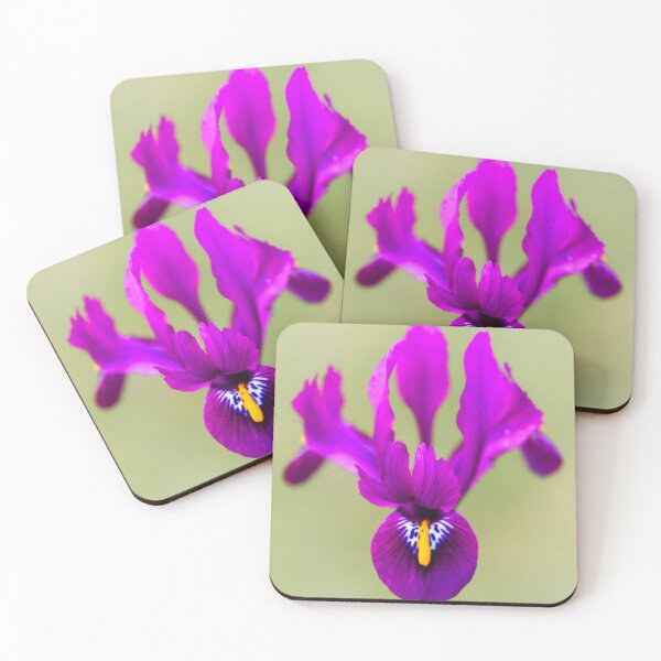 Item preview, Iris flower designed and sold by JEZ22.
