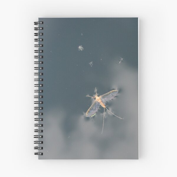 Item preview, Ephemeroptera designed and sold by Colour Of Rice.