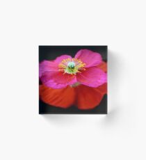Poppy Petticoat Acrylic Block