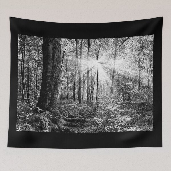 Item preview, Sun Shining Through Trees in Monochrome designed and sold by CoolHippoQuotes.