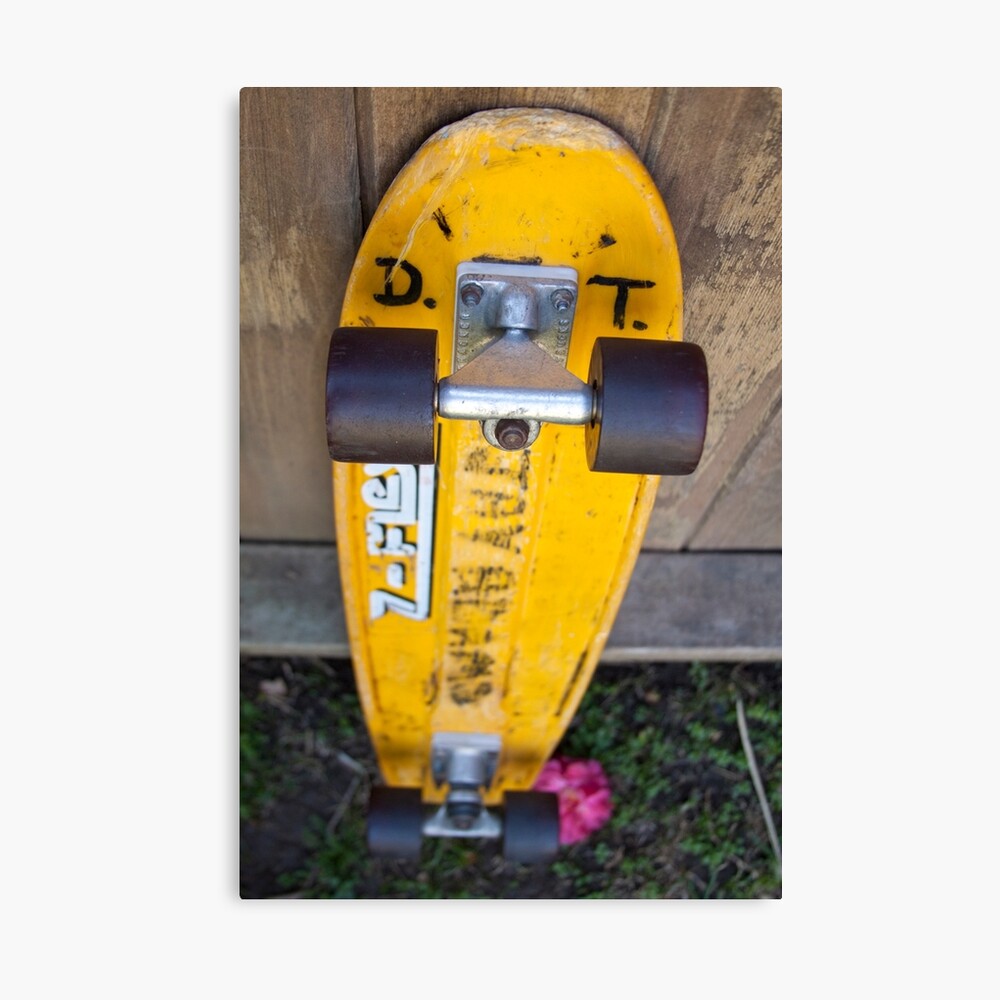 Z-FLEX SKATEBOARDS スケートボード dogtown - スケートボード