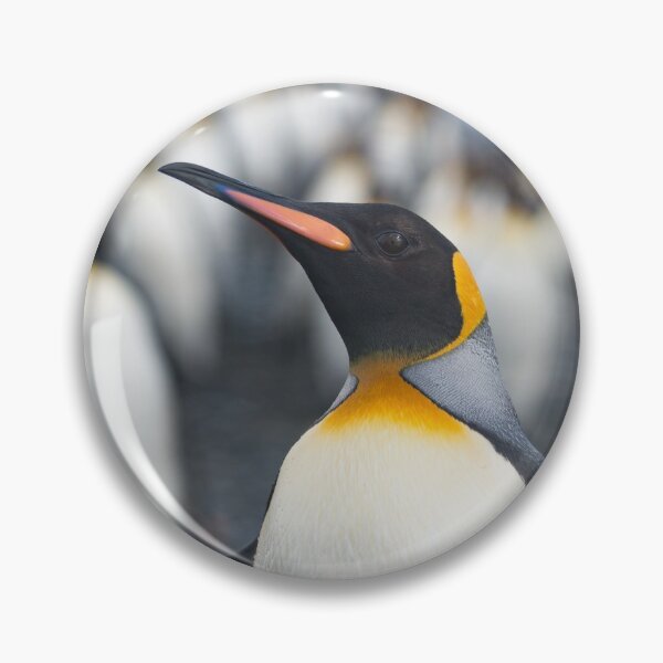 Item preview, King Penguins on Salisbury Plain, South Georgia designed and sold by Mark Prior.