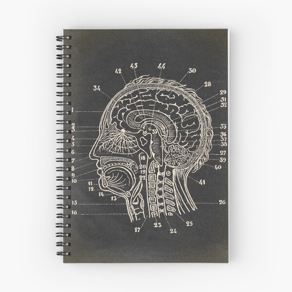 Item preview, Head Chart. Anatomy print designed and sold by LeAllureVintage.