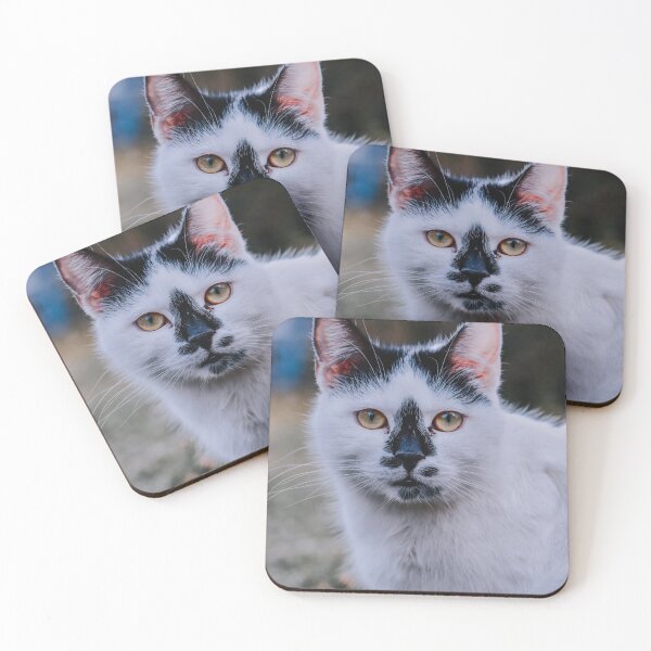 Item preview, Cat Friend designed and sold by didssph-prints.