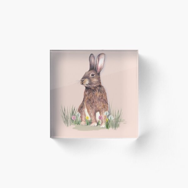 I love Rabbits Acrylic Block