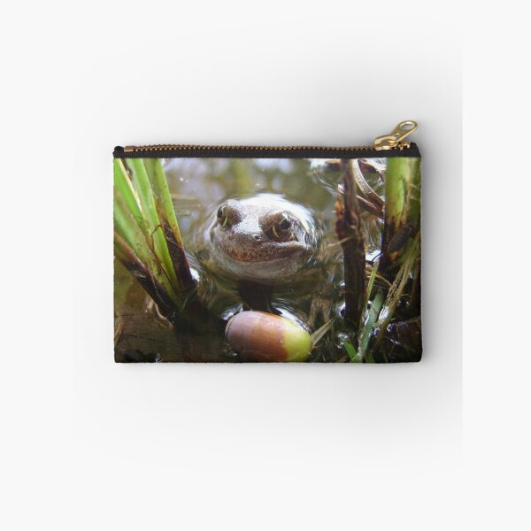 Item preview, Autumn Froggy designed and sold by Colour Of Rice.