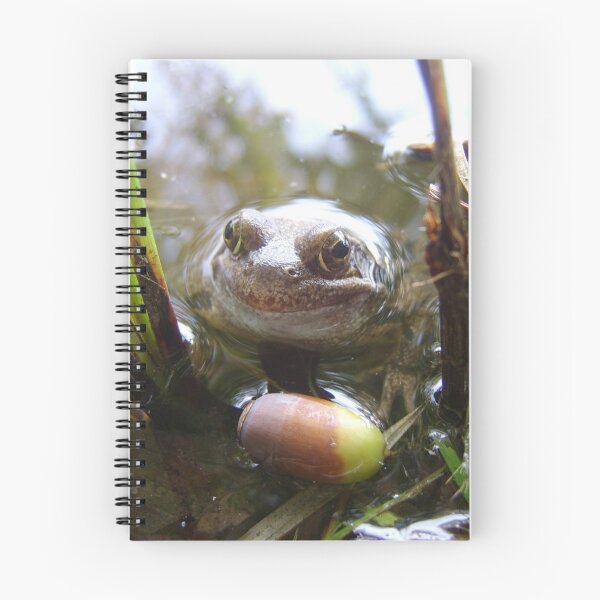 Item preview, Autumn Froggy designed and sold by Colour Of Rice.