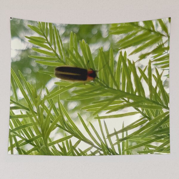 Item preview, Firefly on Cypress designed and sold by MooseDogPhotos.