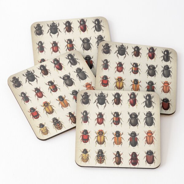 Item preview, Beetle Chart, entomology designed and sold by LeAllureVintage.