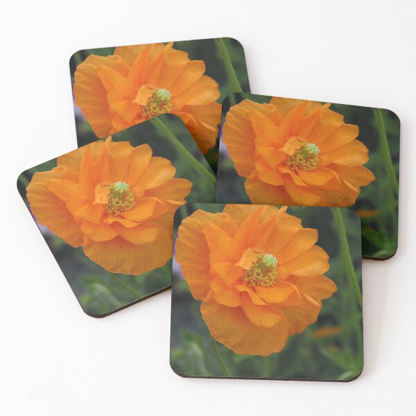 Item preview, Bright Orange Poppy designed and sold by Betty Mackey.