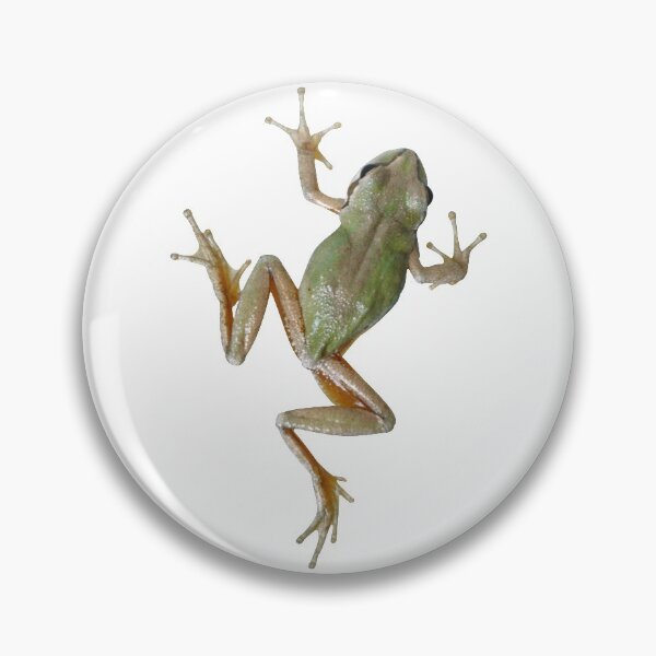 Item preview, Tree Frog designed and sold by DoodleDashCollective.
